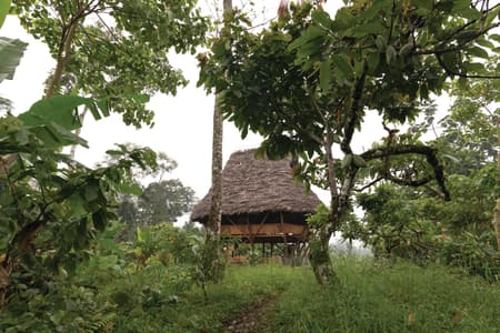 Yuyarina Pacha Kids Library